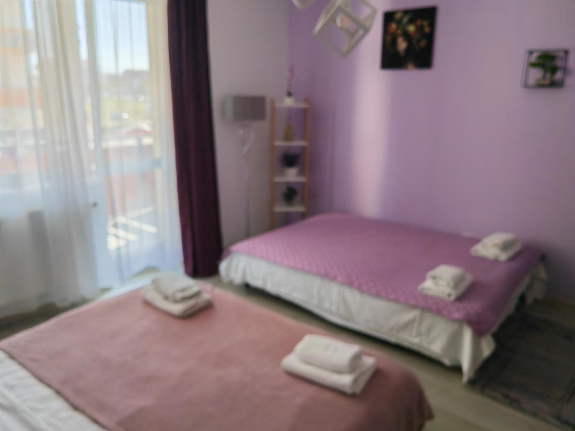 Apartment Adelina Brasov
